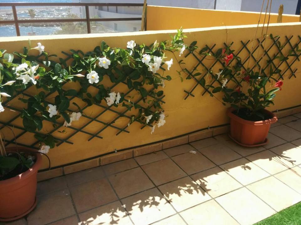 431 - Edif Aguamarina - Vacation Rental Home In The Coast Line Of Golf Del Sur San Miguel de Abona Exterior photo